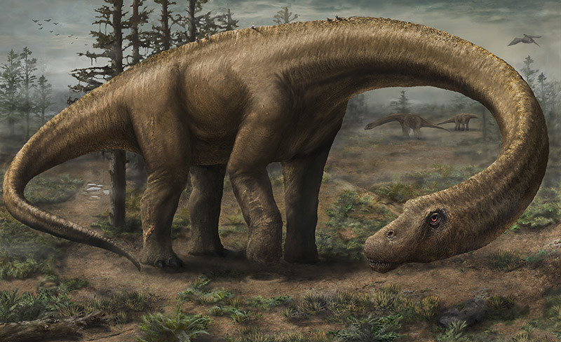 Titanozor (Titanosaurus)