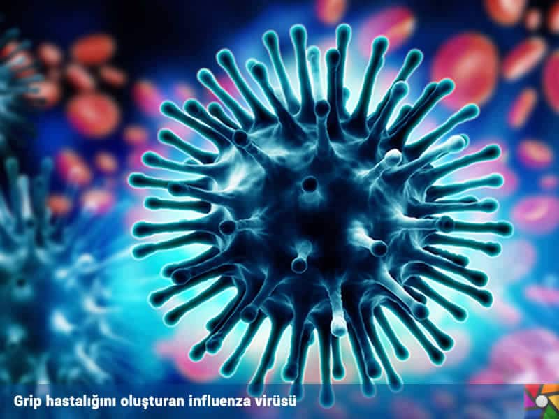 grip-insani-oldurur-mu-influenza-virusu-gelgez