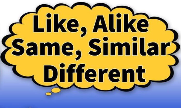 Like, Alike, The same as, Similar to, Different from | Karşılaştırma kelimeleri